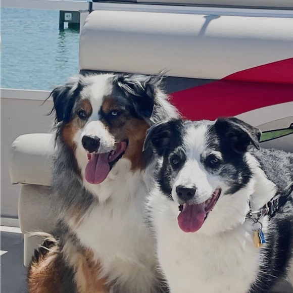 Leosluxuryloot is LIVE! - Picture 7 of 9